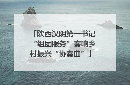 陕西汉阴第一书记“组团服务”奏响乡村振兴“协奏曲”