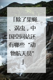 除了果蝇、涡虫，中国空间站还有哪些“动物航天员”