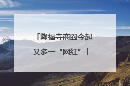 隆福寺商圈今起又多一“网红”