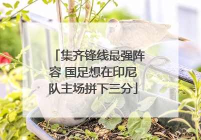 集齐锋线最强阵容 国足想在印尼队主场拼下三分