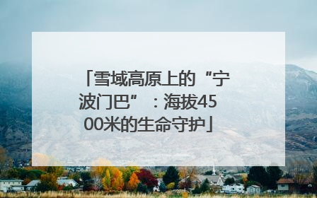 雪域高原上的“宁波门巴”：海拔4500米的生命守护