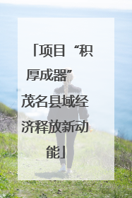 项目“积厚成器” 茂名县域经济释放新动能