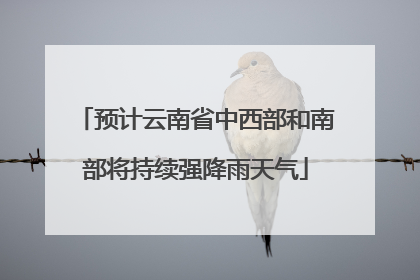 预计云南省中西部和南部将持续强降雨天气