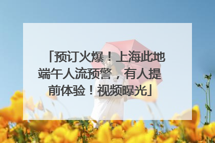 预订火爆！上海此地端午人流预警，有人提前体验！视频曝光