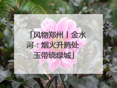 风物郑州丨金水河：烟火升腾处 玉带绕绿城