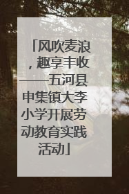 风吹麦浪，趣享丰收——五河县申集镇大李小学开展劳动教育实践活动