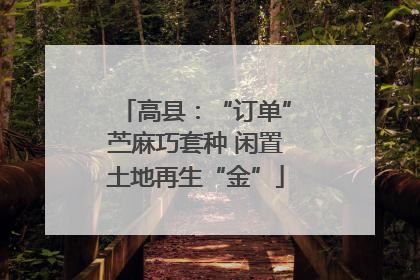 高县：“订单”苎麻巧套种 闲置土地再生“金”