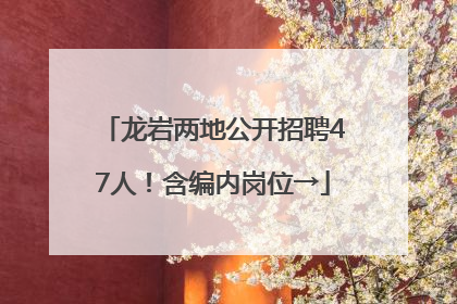 龙岩两地公开招聘47人！含编内岗位→