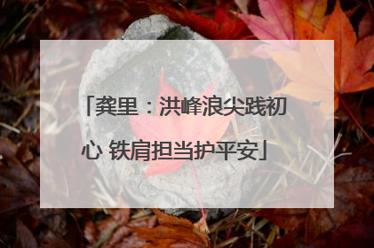 龚里：洪峰浪尖践初心 铁肩担当护平安