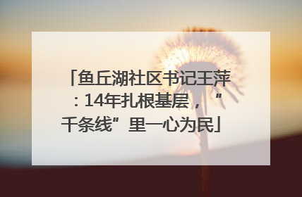 鱼丘湖社区书记王萍：14年扎根基层，“千条线”里一心为民