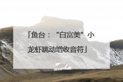 鱼台：“白富美”小龙虾跳动增收音符