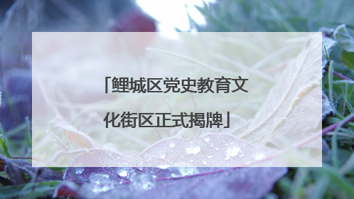 鲤城区党史教育文化街区正式揭牌