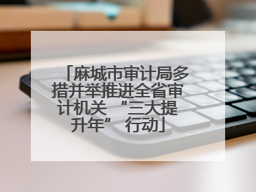 麻城市审计局多措并举推进全省审计机关 “三大提升年” 行动