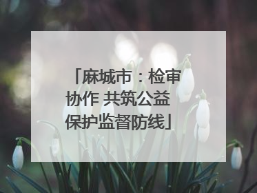 麻城市：检审协作 共筑公益保护监督防线