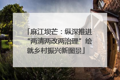 麻江坝芒：纵深推进“两清两改两治理”绘就乡村振兴新图景
