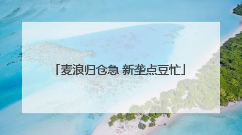 麦浪归仓急 新垄点豆忙