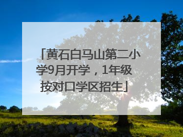 黄石白马山第二小学9月开学，1年级按对口学区招生