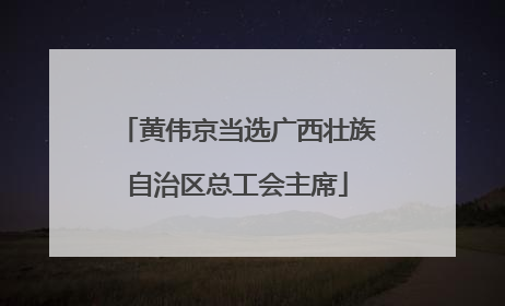 黄伟京当选广西壮族自治区总工会主席