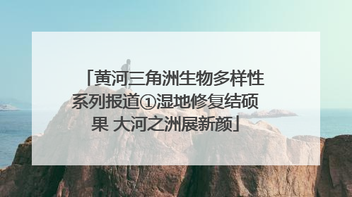 黄河三角洲生物多样性系列报道①湿地修复结硕果 大河之洲展新颜