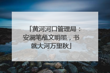 黄河河口管理局：安澜笔蘸文明墨，书就大河万里秋