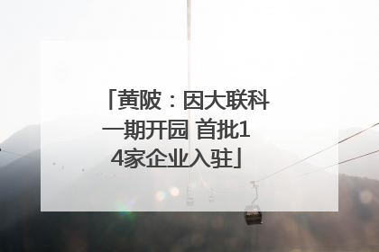 黄陂：因大联科一期开园 首批14家企业入驻