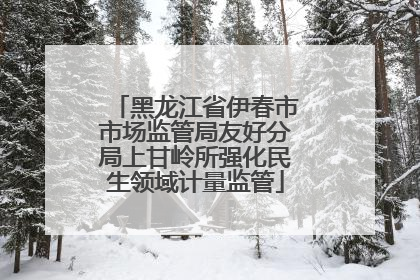 黑龙江省伊春市市场监管局友好分局上甘岭所强化民生领域计量监管