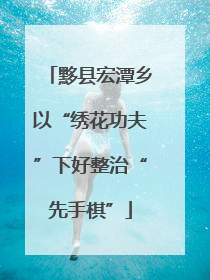 黟县宏潭乡以“绣花功夫”下好整治“先手棋”