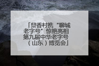 鼎香村携“聊城老字号”惊艳亮相第九届中华老字号（山东）博览会