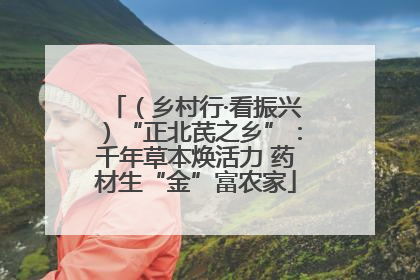（乡村行·看振兴）“正北芪之乡”：千年草本焕活力 药材生“金”富农家