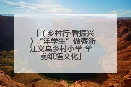 （乡村行·看振兴）“洋学生”做客浙江义乌乡村小学 学剪纸悟文化
