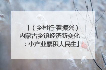 （乡村行·看振兴）内蒙古乡镇经济新变化：小产业累积大民生
