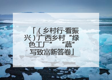 （乡村行·看振兴）广西乡村“绿色工厂” “蔬”写致富新答卷