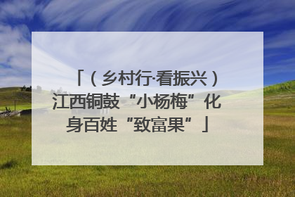 （乡村行·看振兴）江西铜鼓“小杨梅”化身百姓“致富果”