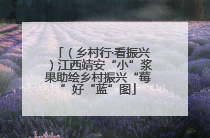 （乡村行·看振兴）江西靖安“小”浆果助绘乡村振兴“莓”好“蓝”图