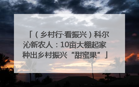 （乡村行·看振兴）科尔沁新农人：10亩大棚起家种出乡村振兴“甜蜜果”