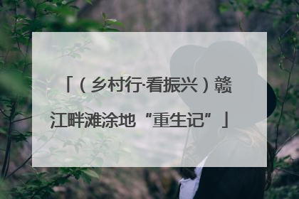 （乡村行·看振兴）赣江畔滩涂地“重生记”