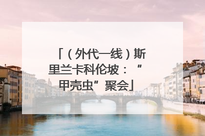 （外代一线）斯里兰卡科伦坡：“甲壳虫”聚会