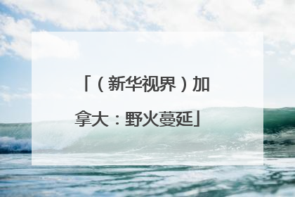（新华视界）加拿大：野火蔓延