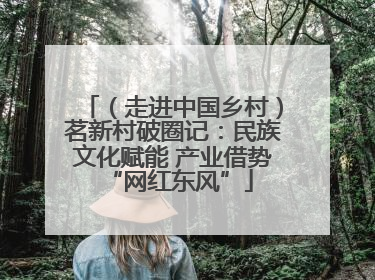 （走进中国乡村）茗新村破圈记：民族文化赋能 产业借势 “网红东风”