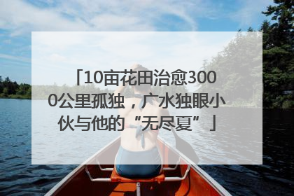 10亩花田治愈3000公里孤独，广水独眼小伙与他的“无尽夏”