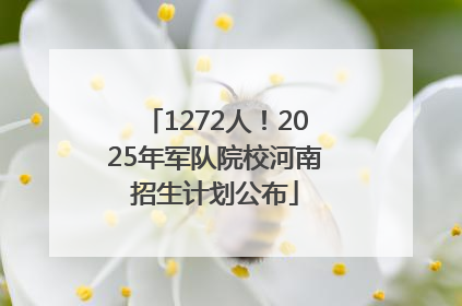 1272人！2025年军队院校河南招生计划公布