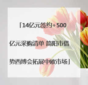 14亿元签约+500亿元采购清单 简阳市借势西博会拓展中欧市场