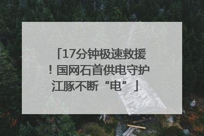 17分钟极速救援！国网石首供电守护江豚不断“电”
