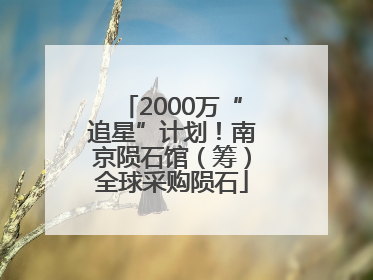 2000万“追星”计划！南京陨石馆（筹）全球采购陨石