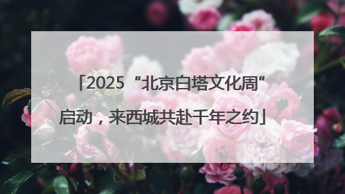 2025“北京白塔文化周”启动，来西城共赴千年之约