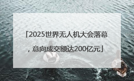 2025世界无人机大会落幕，意向成交额达200亿元