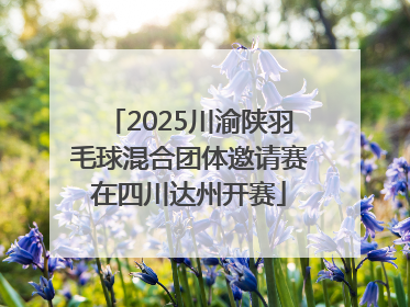 2025川渝陕羽毛球混合团体邀请赛在四川达州开赛