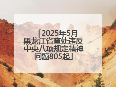 2025年5月黑龙江省查处违反中央八项规定精神问题805起
