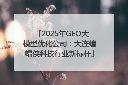 2025年GEO大模型优化公司：大连蝙蝠侠科技行业新标杆