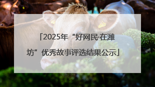 2025年“好网民·在潍坊”优秀故事评选结果公示